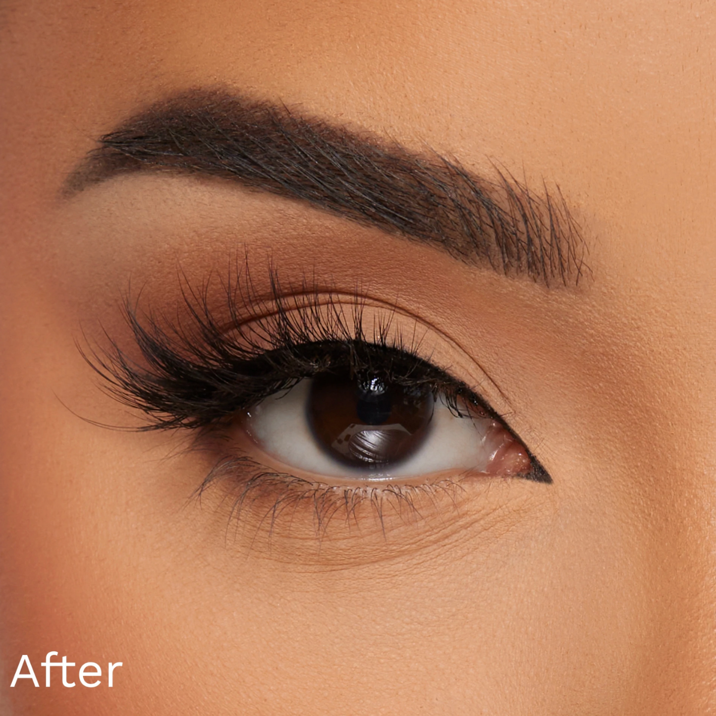 Am I the Drama Faux Eye Lashes