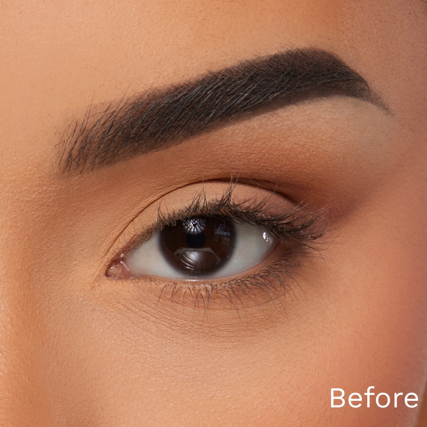 Am I the Drama Faux Eye Lashes